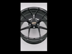 Negro brillante del abeto del BBS